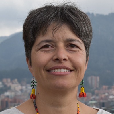 Carolina Botero, consultora en derechos en entornos digitales
